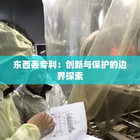 东西丢专利：创新与保护的边界探索