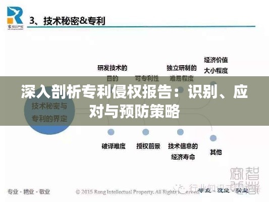 深入剖析专利侵权报告：识别、应对与预防策略