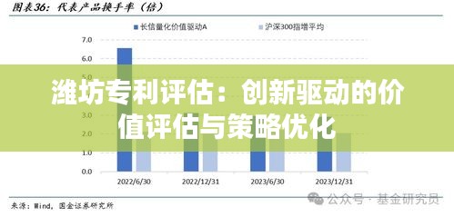 潍坊专利评估：创新驱动的价值评估与策略优化