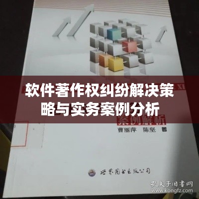 软件著作权纠纷解决策略与实务案例分析