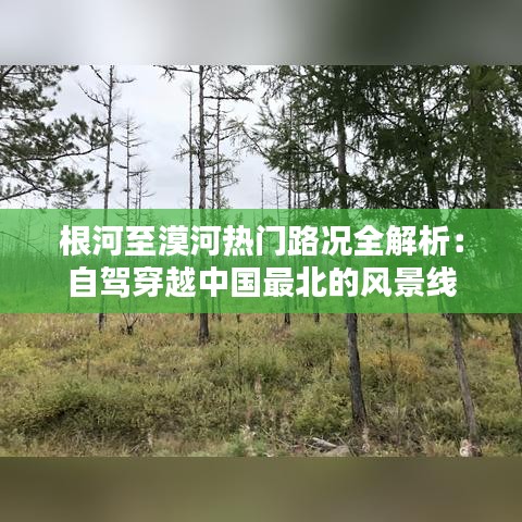 根河至漠河热门路况全解析：自驾穿越中国最北的风景线