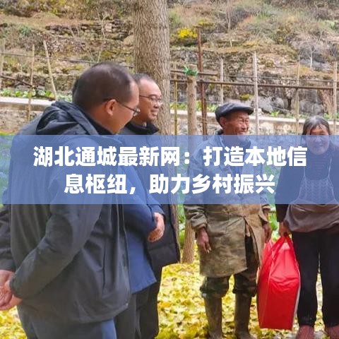 湖北通城最新网：打造本地信息枢纽，助力乡村振兴