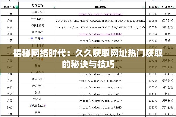 揭秘网络时代：久久获取网址热门获取的秘诀与技巧