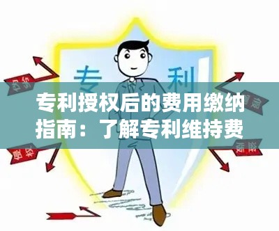 专利授权后的费用缴纳指南：了解专利维持费与年费