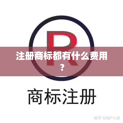 注册商标都有什么费用？