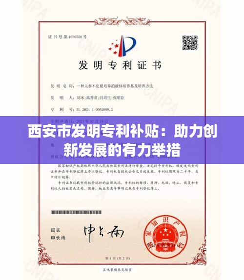 西安市发明专利补贴：助力创新发展的有力举措