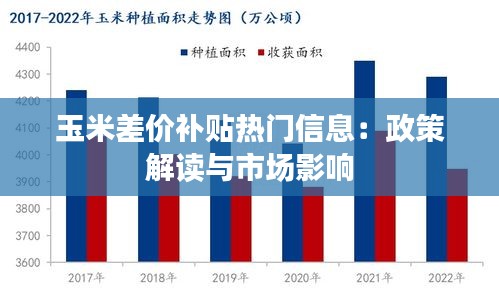 玉米差价补贴热门信息：政策解读与市场影响