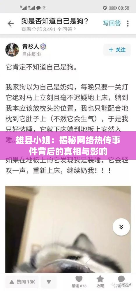 雄县小姐：揭秘网络热传事件背后的真相与影响