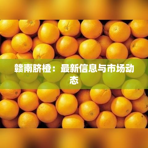 赣南脐橙：最新信息与市场动态