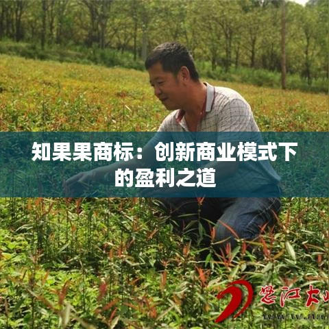 知果果商标：创新商业模式下的盈利之道