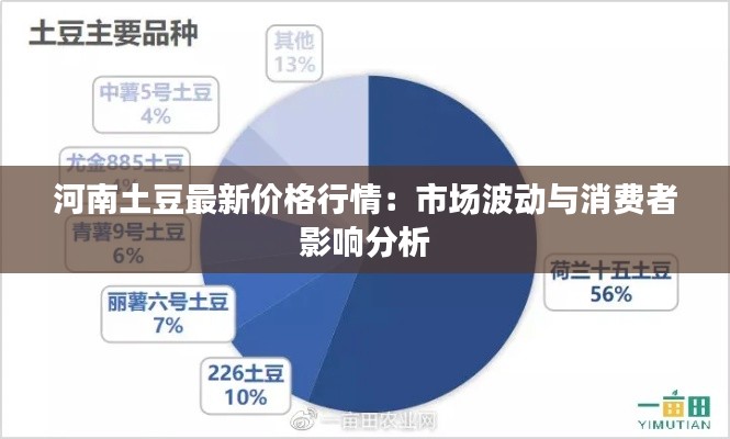 河南土豆最新价格行情：市场波动与消费者影响分析