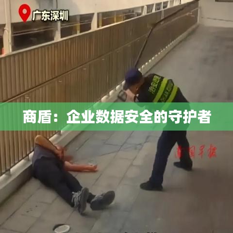 商盾：企业数据安全的守护者