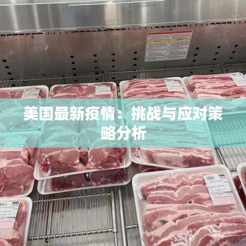 美国最新疫情：挑战与应对策略分析