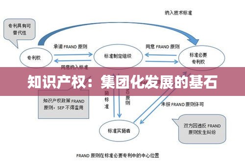 知识产权：集团化发展的基石