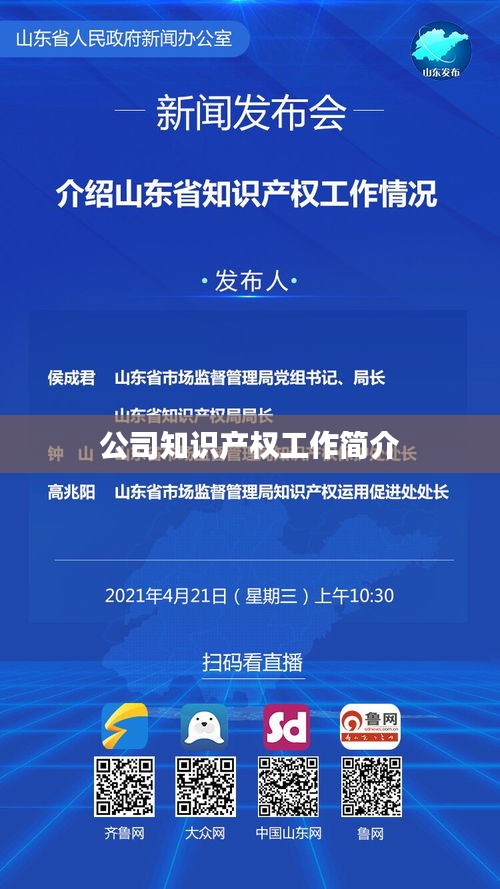 公司知识产权工作简介