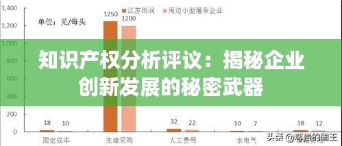 知识产权分析评议：揭秘企业创新发展的秘密武器