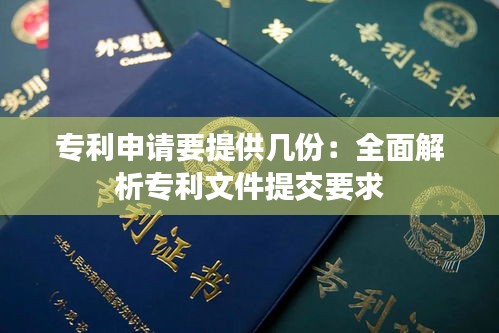 专利申请要提供几份：全面解析专利文件提交要求