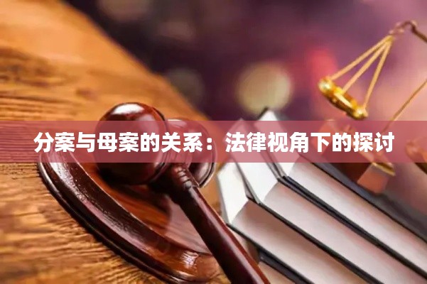 分案与母案的关系：法律视角下的探讨