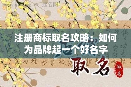 注册商标取名攻略：如何为品牌起一个好名字