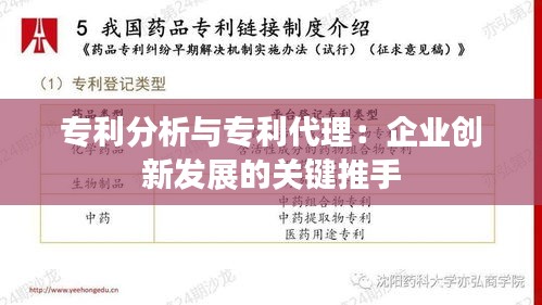 专利分析与专利代理：企业创新发展的关键推手