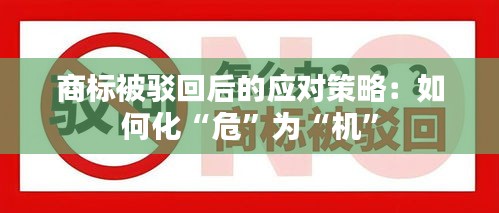 商标被驳回后的应对策略：如何化“危”为“机”