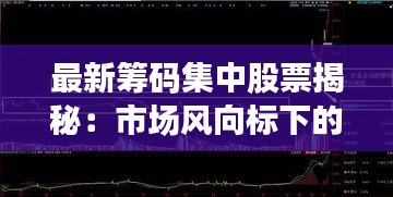 最新筹码集中股票揭秘：市场风向标下的投资新宠