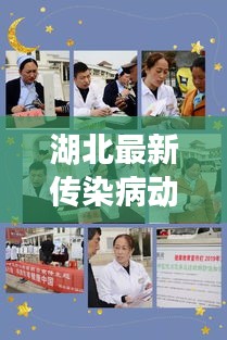 湖北最新传染病动态：关注与预防