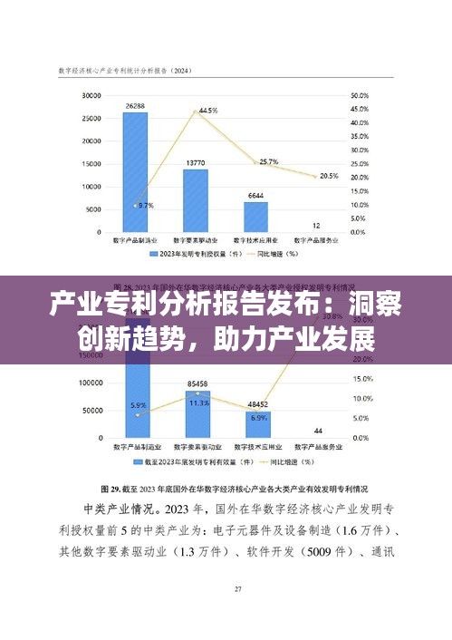 产业专利分析报告发布：洞察创新趋势，助力产业发展