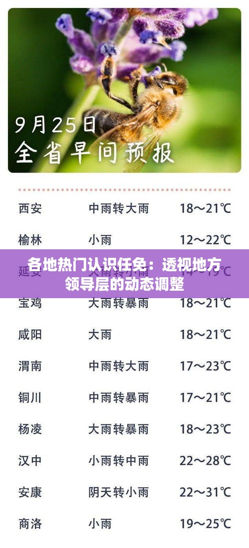 各地热门认识任免：透视地方领导层的动态调整