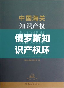 俄罗斯知识产权环境的现状与挑战