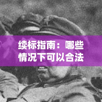 续标指南：哪些情况下可以合法进行续标操作