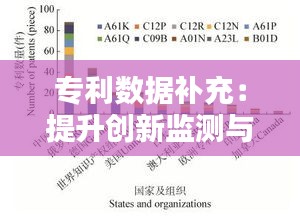 专利数据补充：提升创新监测与分析的精准度