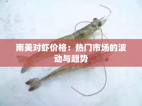 南美对虾价格：热门市场的波动与趋势