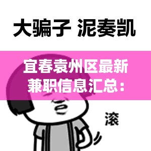 宜春袁州区最新兼职信息汇总：多样化选择，轻松赚取零花钱