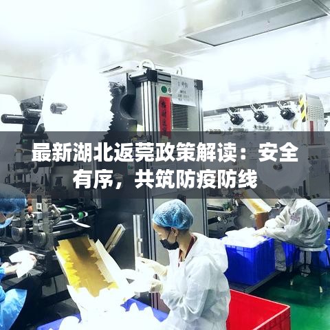 最新湖北返莞政策解读：安全有序，共筑防疫防线