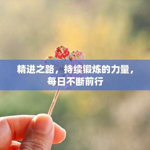 精进之路，持续锻炼的力量，每日不断前行