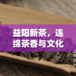 益阳新茶，连绵茶香与文化繁荣共融的魅力盛宴