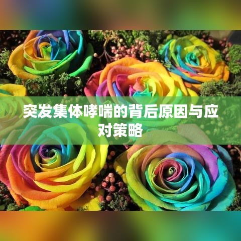 突发集体哮喘的背后原因与应对策略