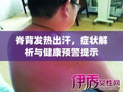 脊背发热出汗，症状解析与健康预警提示