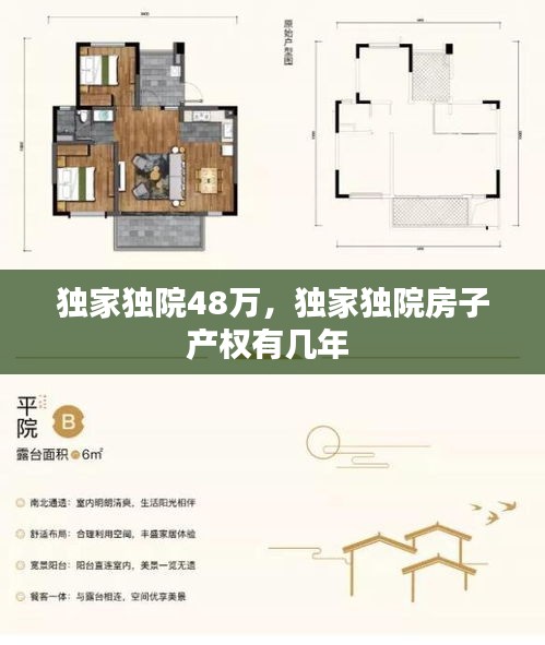 独家独院48万，独家独院房子产权有几年 