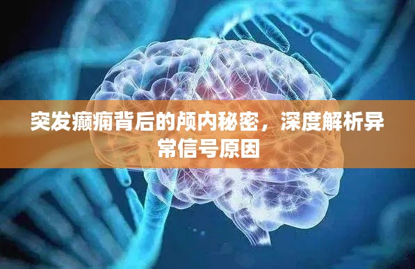 突发癫痫背后的颅内秘密，深度解析异常信号原因