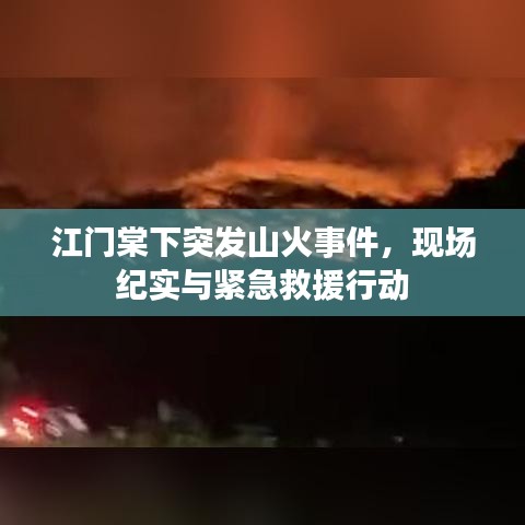 江门棠下突发山火事件，现场纪实与紧急救援行动