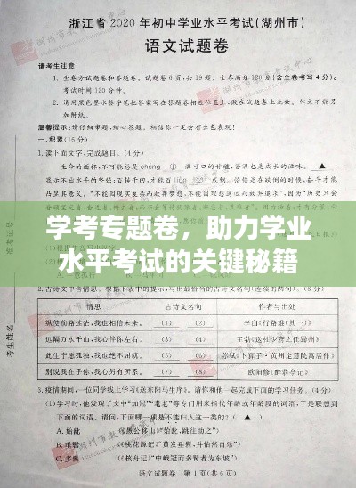 学考专题卷，助力学业水平考试的关键秘籍