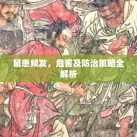 鼠患频发，危害及防治策略全解析