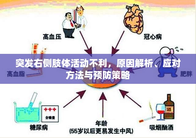 突发右侧肢体活动不利，原因解析、应对方法与预防策略