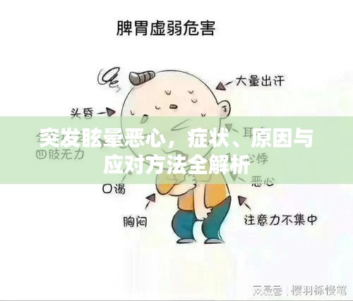 突发眩晕恶心，症状、原因与应对方法全解析