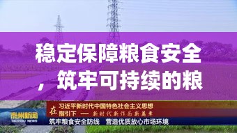 稳定保障粮食安全，筑牢可持续的粮食防线