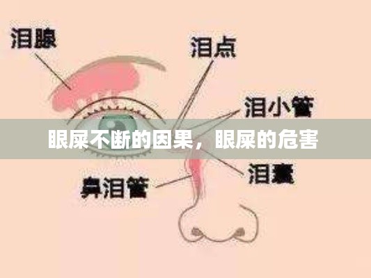 眼屎不断的因果，眼屎的危害 