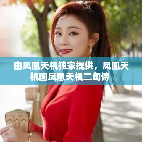 由凤凰天机独家提供，凤凰天机图凤凰天机二句诗 