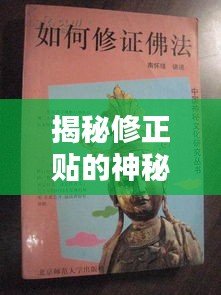 揭秘修正贴的神秘魅力，不断扯的秘密与实用特点解析